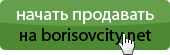    borisovcity.net